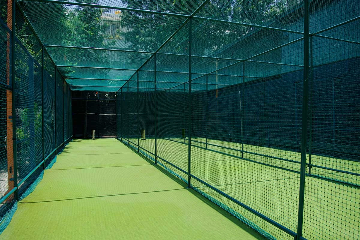 Close-up net detail — Madhapur