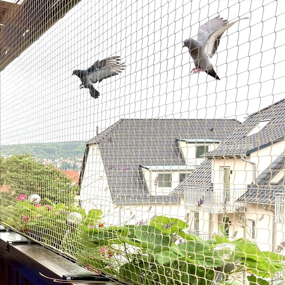 Pigeon Safety Nets installation — Madhapur